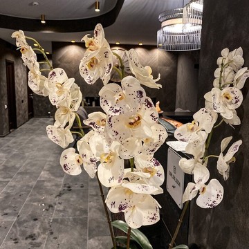 Салон Siam spa фото 2