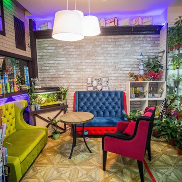Компания по доставке шариков и цветов Праздник каждый день фото 3