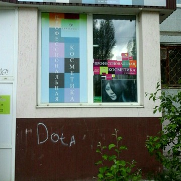 Екатерина Prodessional фото 2