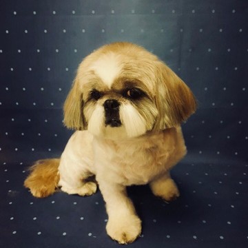 Пушистые лапки фото 2