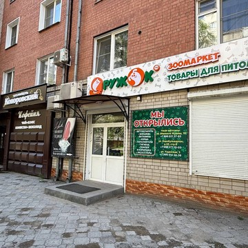 Дружок фото 1