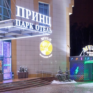 Караоке Муле фото 1