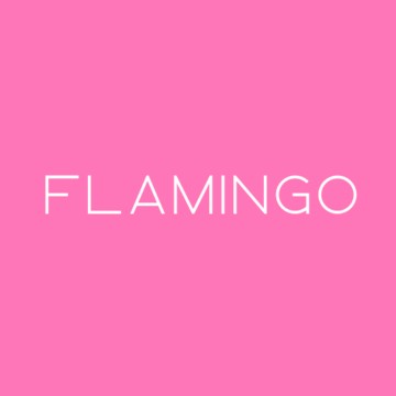 Flamingo Stretching фото 1