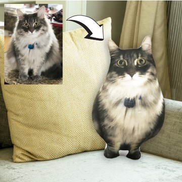 Закажи дизайнерскую подушку из фотографии своего кота 