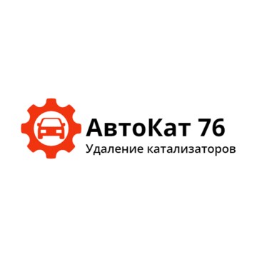 Удаление катализатора в Ярославле | АвтоКат 76 фото 1
