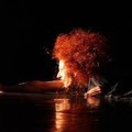 Фотография специалиста Лещенко Екатерина Валерьевна