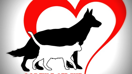 Ветеринарная клиника Собачье сердце в Карасунском районе в Краснодаре – как  добраться, цены, 56 отзывов, телефон – на Yell.ru