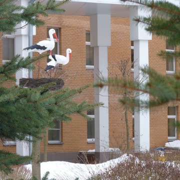 Зеленоградского АО Родильный дом при Больнице # 3 фото 3