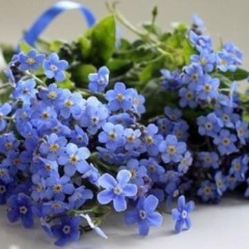 Туристическая фирма Странник на улице Мира фото 1