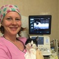 Фотография специалиста Карпичева Анна Геннадьевна