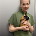 Фотография специалиста Олифиренко Екатерина Владимировна