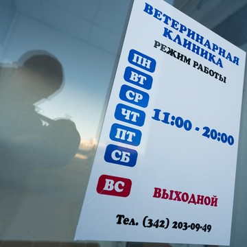 Ветеринарная клиника на Уинской улице фото 3