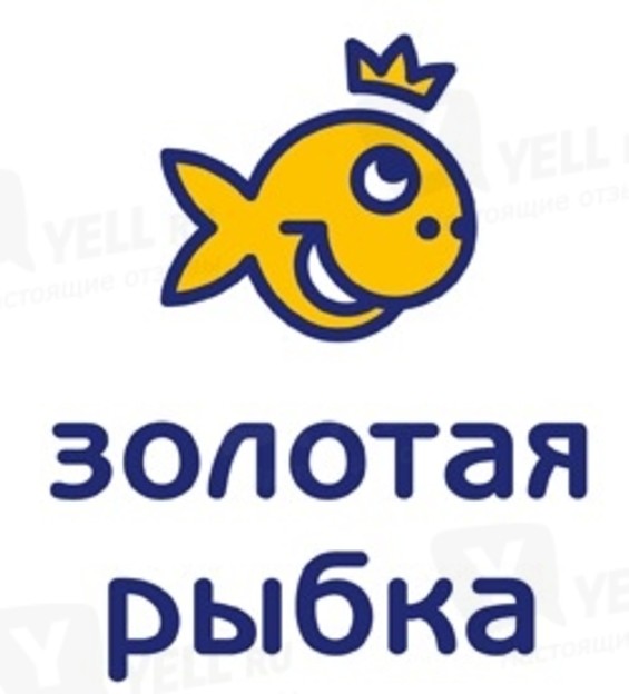Золотая Рыбка Зоомагазин Интернет Магазин