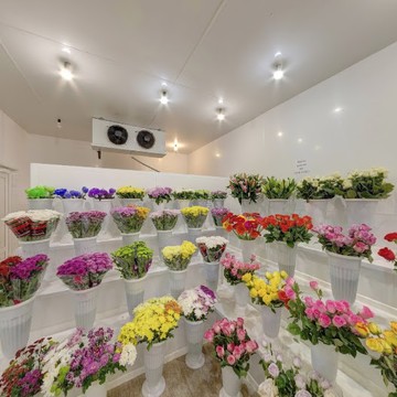 Цветы и букеты от склад-магазина Ромашково фото 1