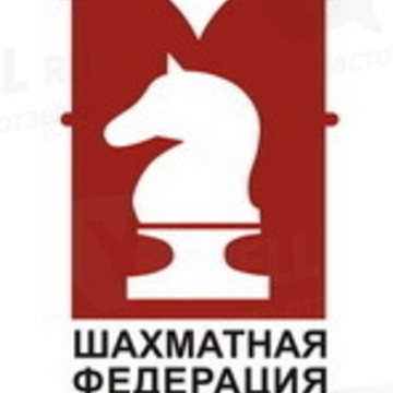 Общественная организация - Шахматная федерация г.Москвы фото 1