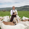 Фотография специалиста Красненко Надежда Георгиевна
