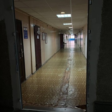 Два колеса фото 3