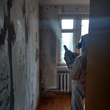 Уничтожение вредителей фото 3
