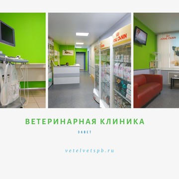 Ветеринарная клиника ЭЛВЕТ на проспекте Юрия Гагарина фото 1
