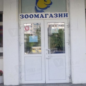 Золотая рыбка на улице Художников фото 2
