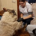 Фотография специалиста Коршунова Ольга Сергеевна