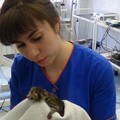 Фотография специалиста Простова Татьяна Павловна