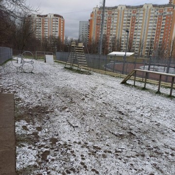 Школа для собак Dogfriend фото 1