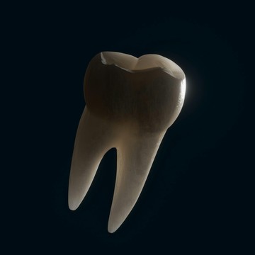 Стоматология Bonum Medicus фото 3