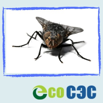 Эко СЭС Смоленск фото 3