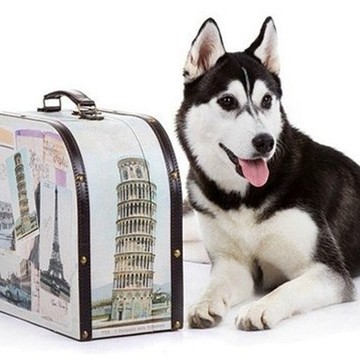 Зоогостиница &quot;Гранат&quot; фото 1