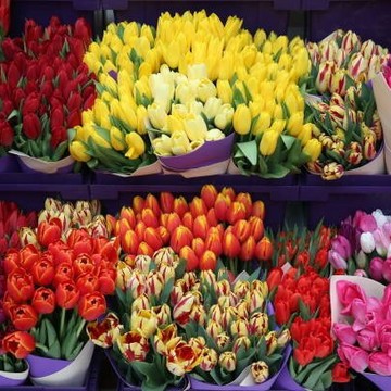 Магазин цветов Светик-Семицветик фото 2