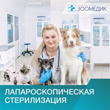Ветеринарная клиника Зоомедик на Ленинском проспекте фото 1