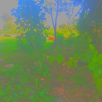 Фрукты фото 2