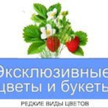 Магазин цветов ЦВЕТЫВСЕМ.РФ на Дмитровском шоссе фото 2