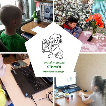 Онлайн-школа Стимул фото 1