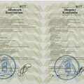 Фотография специалиста Шепелев Константин Евгеньевич