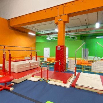 Европейский Гимнастический Центр фото 2