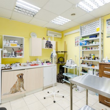 Ветеринарная клиника Vet-Home-Help фото 1