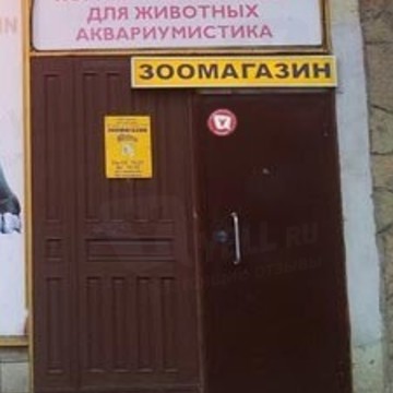 Дюша на улице Партизана Германа фото 1