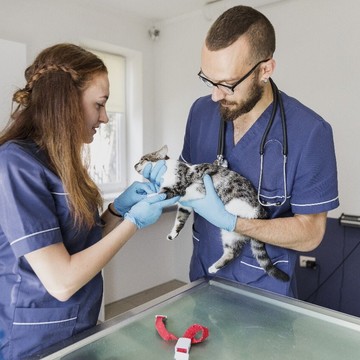 Ветеринарный центр Белый Бим на метро Новочеркасская фото 3