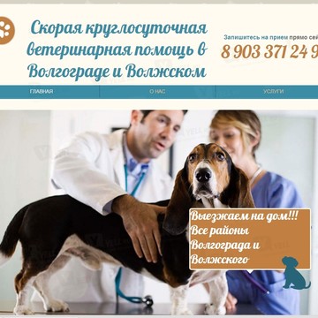 Скорая круглосуточная ветеринарная помощь в Волгограде и Волжском. Зооцентр34 фото 1