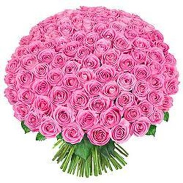 Цвета лета 24 фото 2