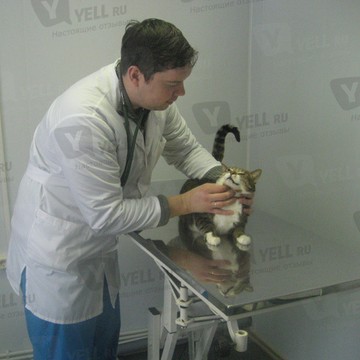 Ветеринарная клиника ЛИМПОПО фото 2