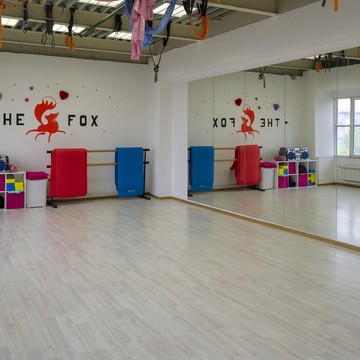 Школа танцев и спорта THE FOX фото 3