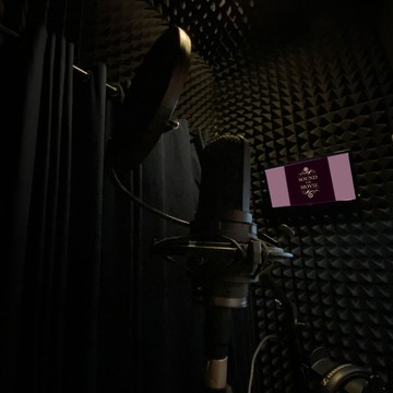 Студия звукозаписи SFM-Studio фото 3