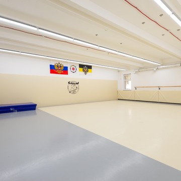 Спортивный клуб Shkarin school на Стартовой улице фото 3