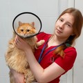 Фотография специалиста Хоринова Екатерина Александровна