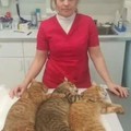 Фотография специалиста Гришина Надежда Викторовна