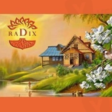 Строительная компания Radix фото 2