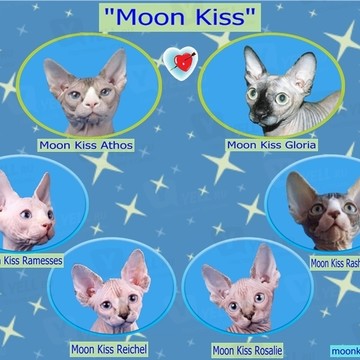 Moon Kiss фото 2